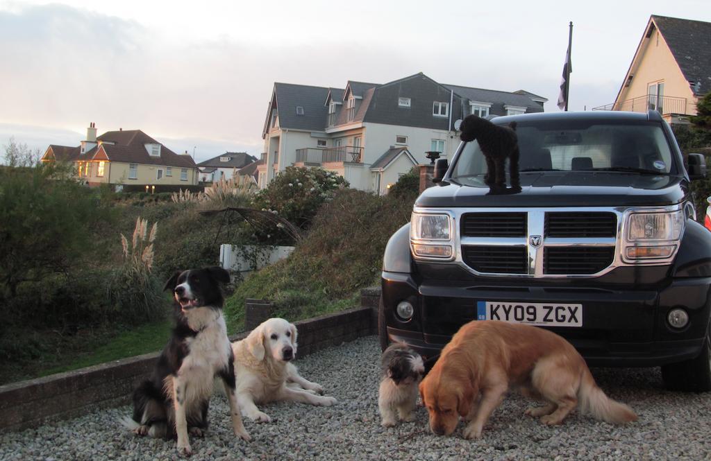 Upton Cross B&B Bude Extérieur photo